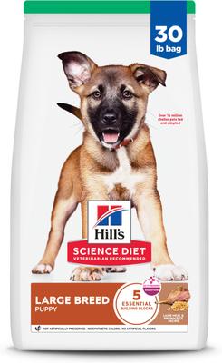 Hill's Science Diet Puppy Large Breed Lamb Meal & Brown Rice Recipe Dry Dog Food
