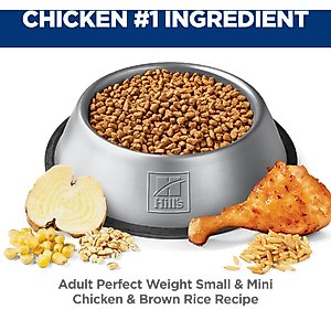 Hill's Science Diet Adult Perfect Weight Management Small Breed & Mini Breed Chicken Recipe Dry Dog Food, 12.5-lb bag