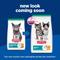 Show in main carousel: Hill's Science Diet Kitten Healthy Cuisine Roasted Chicken & Rice Medley Canned Cat Food, 2.8-oz, case of 24 + Hill's Science Diet Indoor Kitten Dry Cat Food, 7-lb bag slide 7 of 10