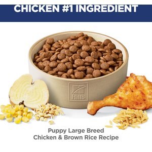 Hill's Science Diet Puppy Large Breed Chicken & Brown Rice Recipe Dry Dog Food, 27.5-lb bag