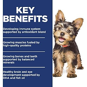 Hill's Science Diet Puppy Small Breed & Mini Breed Chicken Meal & Brown Rice Recipe Dry Dog Food, 4.5-lb bag