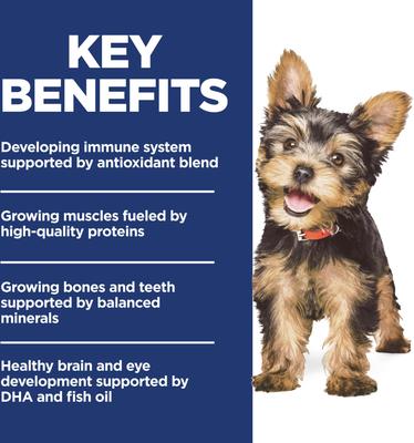 Show full view: Hill's Science Diet Puppy Small Breed & Mini Breed Chicken Meal & Brown Rice Recipe Dry Dog Food, 4.5-lb bag slide 4 of 13