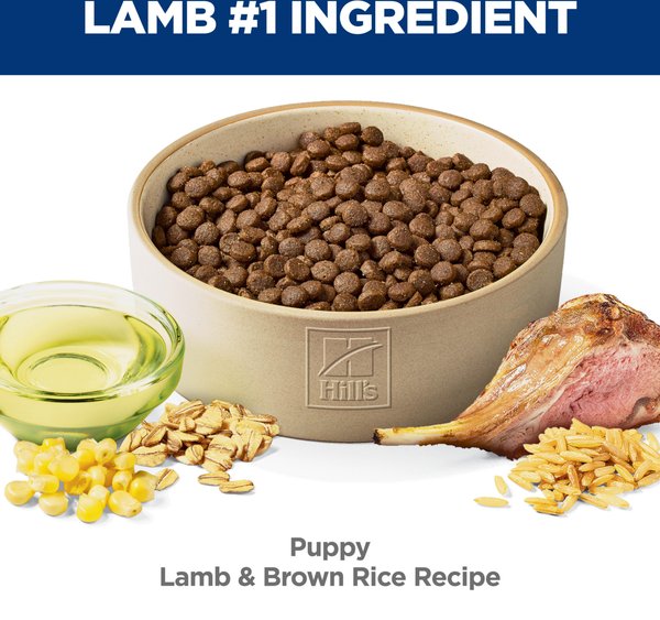 Hill's Science Diet Puppy Lamb Meal & Brown Rice Recipe Dry Dog Food