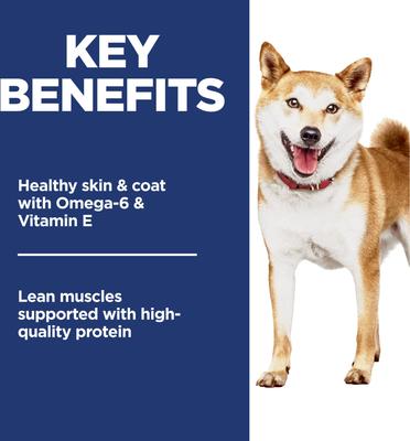 Show full view: Hill's Science Diet Adult 1-6 Chicken & Brown Rice Recipe No Corn, Wheat or Soy Dry Dog Food, 30-lb bag slide 3 of 11