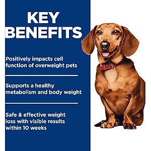 Hill's Science Diet Adult Perfect Weight Management Small Breed & Mini Breed Chicken Recipe Dry Dog Food, 12.5-lb bag