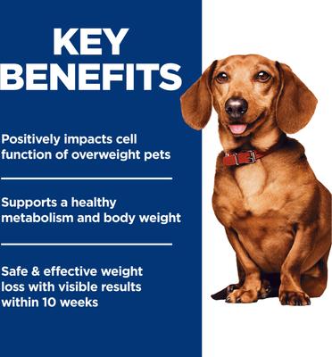 Show full view: Hill's Science Diet Adult Perfect Weight Management Small Breed & Mini Breed Chicken Recipe Dry Dog Food, 4-lb bag slide 6 of 13