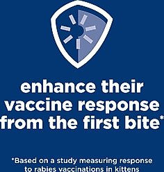 Hill's Science Diet Kitten Dry Ocean Fish & Brown Rice Recipe Dry Cat Food, 7-lb bag slide 2 of 8