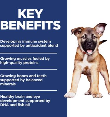 Show full view: Hill's Science Diet Puppy Large Breed Chicken & Brown Rice Recipe Dry Dog Food, 15.5-lb Bag slide 4 of 13