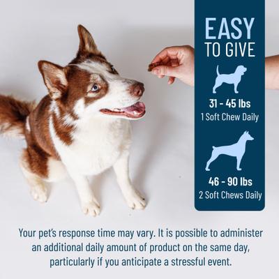 Show full view: Nutramax Solliquin Soft Chew Calming Behavioral Health Supplement for Large Dogs, 75 count slide 8 of 11