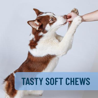 Show full view: Nutramax Solliquin Soft Chew Calming Behavioral Health Supplement for Large Dogs, 75 count slide 6 of 11