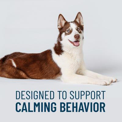 Show full view: Nutramax Solliquin Soft Chew Calming Behavioral Health Supplement for Large Dogs, 75 count slide 3 of 11