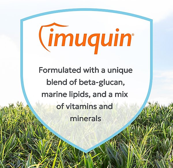 Show full view: Nutramax Imuquin Immune Support Powder Immune Supplement for Dogs, 30 count slide 3 of 11