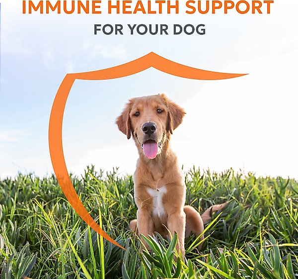 Show full view: Nutramax Imuquin Immune Support Powder Immune Supplement for Dogs, 30 count slide 2 of 11