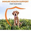 Show in main carousel: Nutramax Imuquin Immune Support Powder Immune Supplement for Dogs, 30 count slide 2 of 11
