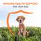 Show in main carousel: Nutramax Imuquin Immune Support Powder Immune Supplement for Dogs, 30 count slide 3 of 11