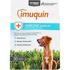 Nutramax Imuquin Immune Support Powder Immune Supplement for Dogs, 30 count