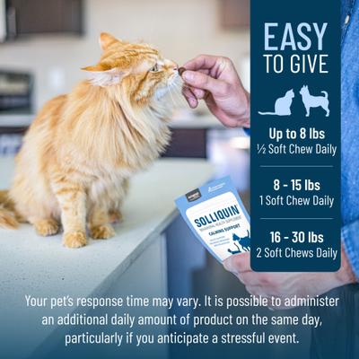 Show full view: Nutramax Solliquin Soft Chew Calming Behavioral Health Supplement for Small/Medium Dogs & Cats, 75 count slide 8 of 11