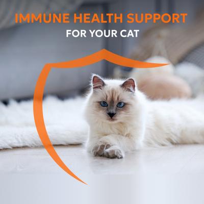 Show full view: Nutramax Imuquin with Beta Glucans, Marine Lipids, Vitamins & Minerals Powder Packets Immune Supplement for Cats, 30 count slide 3 of 11