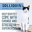Show in main carousel: Nutramax Solliquin Soft Chew Calming Behavioral Health Supplement for Small/Medium Dogs & Cats, 75 count slide 3 of 11