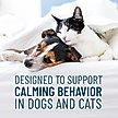 Show in main carousel: Nutramax Solliquin Soft Chew Calming Behavioral Health Supplement for Small/Medium Dogs & Cats, 75 count slide 2 of 11
