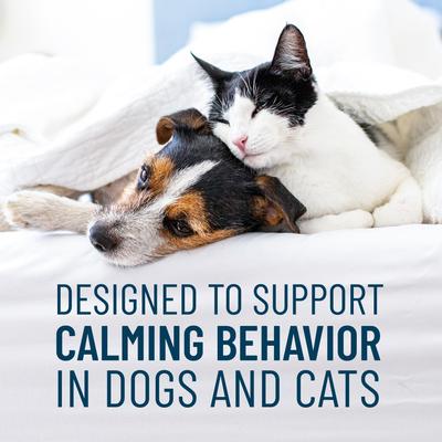 Show full view: Nutramax Solliquin Soft Chew Calming Behavioral Health Supplement for Small/Medium Dogs & Cats, 75 count slide 3 of 11