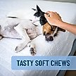 Show in main carousel: Nutramax Solliquin Soft Chew Calming Behavioral Health Supplement for Small/Medium Dogs & Cats, 75 count slide 5 of 11