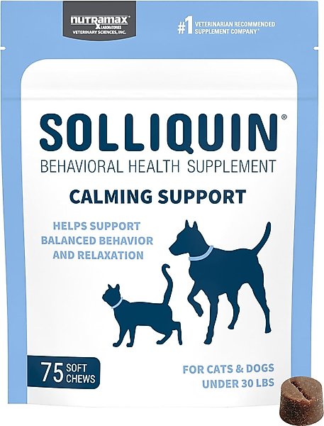 Show full view: Nutramax Solliquin Soft Chew Calming Behavioral Health Supplement for Small/Medium Dogs & Cats, 75 count slide 1 of 11