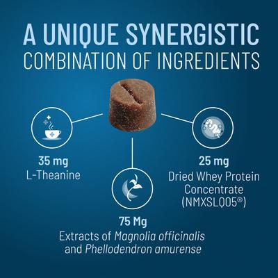 Nutramax Solliquin Soft Chew Calming Supplement
