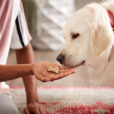 Show full view: Milk-Bone Dipped Biscuits Baked with Real Peanut Butter Dog Treats, 12-oz bag slide 7 of 12