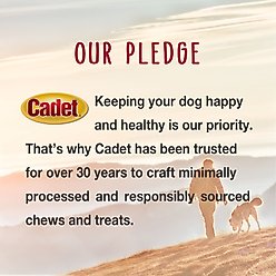 Cadet Gourmet Crunch'ems Homestyle Chicken N Veggie Dog Treats, 10 count slide 2 of 9