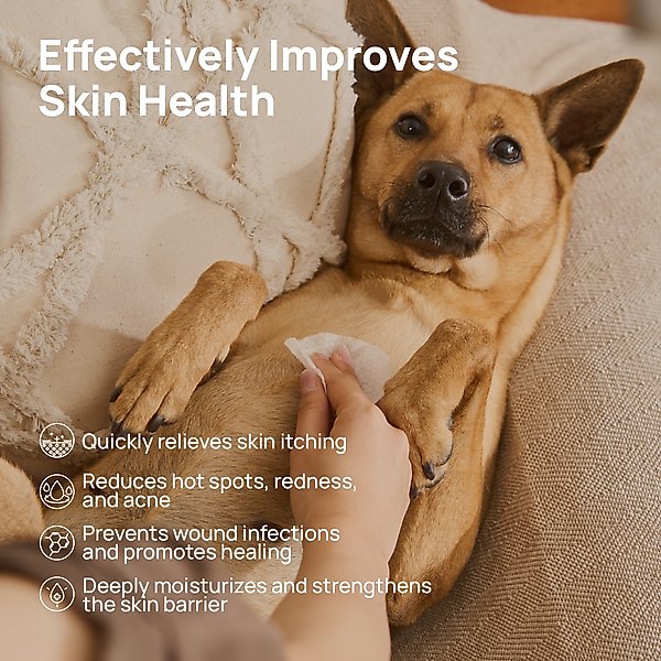 Show full view: HICC PET Itch Relief Dog Grooming Wipes, 100 count slide 2 of 8
