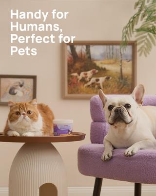 Show full view: HICC PET Hypoallergenic Wrinkle Dog Grooming Wipes, 100 count slide 6 of 7