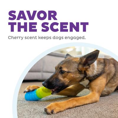 Show full view: Outward Hound Gummiez Worm 2-in-1 Dental Dog Chew & Treat Dispensing Game Toy, Multicolor slide 5 of 10