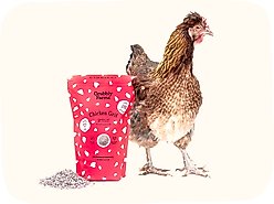 Grubbly Farms Chicken Grit Poultry Digestive Supplement, 5-lb bag