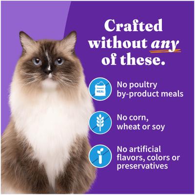 Show full view: Halo Whitefish Recipe with Real Whole Whitefish Pate Grain-Free Indoor Cat Wet Cat Food, 5.5-oz can, case of 4 slide 5 of 9