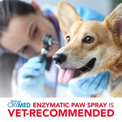 Show full view: TropiClean OxyMed Enzymatic Dog & Cat Paw Odor & Itch Spray, 8-fl oz bottle slide 5 of 8