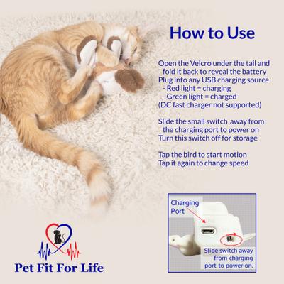 Show full view: Pet Fit For Life Flapping Bird Cat Toy, Brown, Large slide 6 of 10