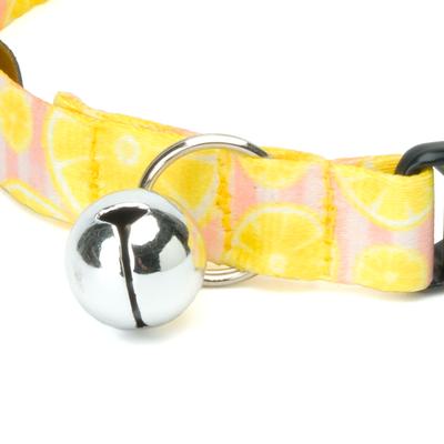 Show full view: Country Brook Petz Pink Lemonade Cat Collar, 8 to 12-in neck, 1/2-in wide slide 8 of 8