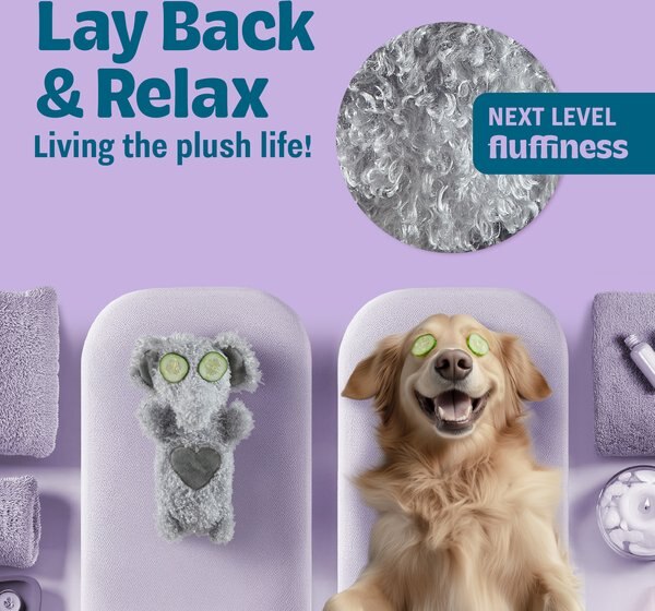 Pupstages by Petstages Buddies Cozy Plush Crinkle Dog Toy