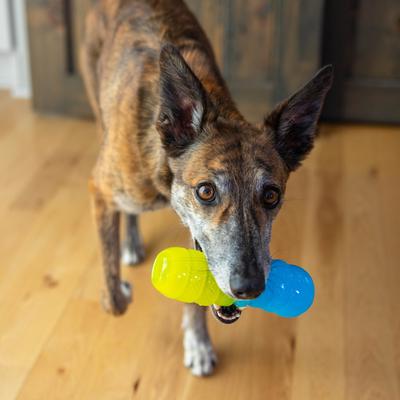 Show full view: Outward Hound Gummiez Worm 2-in-1 Dental Dog Chew & Treat Dispensing Game Toy, Multicolor slide 8 of 10