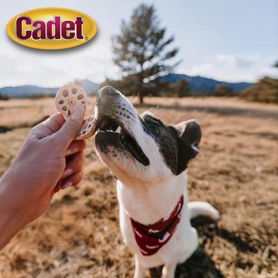 Show full view: Cadet Gourmet Homestyle Lotus Root Crunch'ems Duck 'N Veggie Flavor Dog Treats, 10 count slide 3 of 10