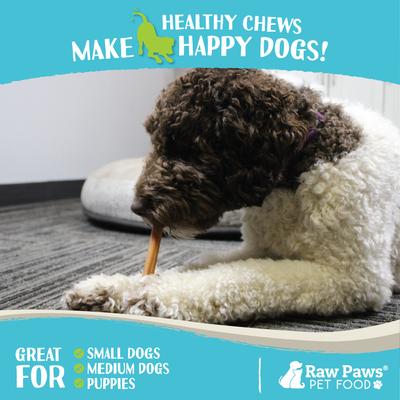 Show full view: Raw Paws 6-inch Standard Bully Sticks Dog Treats, 10 count slide 7 of 9