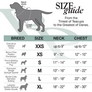 Pet Passion Toby Perfect Tee Dog Shirt, Pink Camo, Small, 3 count