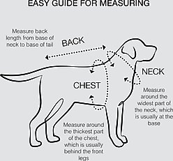 Pet Passion Rocky Comfy Dog Hoodie, Heather Gray, Xx-Small slide 2 of 6