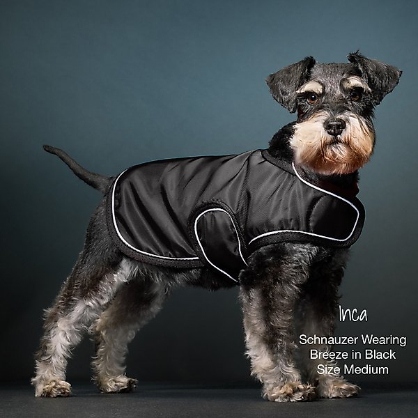 Show full view: Pet Passion Breeze Windbreaker Dog Coat, Black, Xx-Large slide 5 of 6