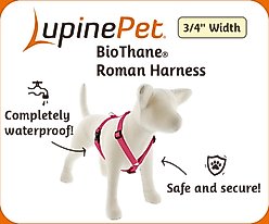 LupinePet Waterproof BioThane Adjustable Dog Harness, Neon Pink, Large: 20 to 32-in chest, 3/4-in wide slide 2 of 7