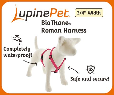 Show full view: LupinePet Waterproof BioThane Adjustable Dog Harness, Brick Red, Medium: 14 to 24-in chest, 3/4-in wide slide 3 of 8