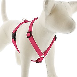 LupinePet Waterproof BioThane Adjustable Dog Harness, Neon Pink, Small: 12 to 20-in chest, 3/4-in wide slide 1 of 7
