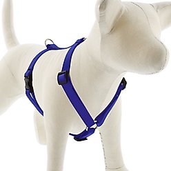 LupinePet Waterproof BioThane Adjustable Dog Harness, True Blue, Medium: 14 to 24-in chest, 3/4-in wide
