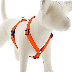 LupinePet Waterproof BioThane Adjustable Dog Harness, Neon Orange, Small: 12 to 20-in chest, 3/4-in wide